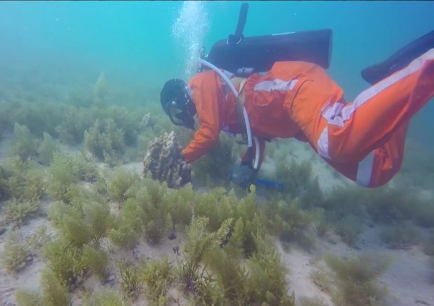 首页- 尊龙集团中国官方网站