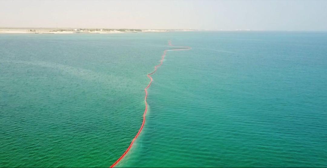 首页- 尊龙集团中国官方网站