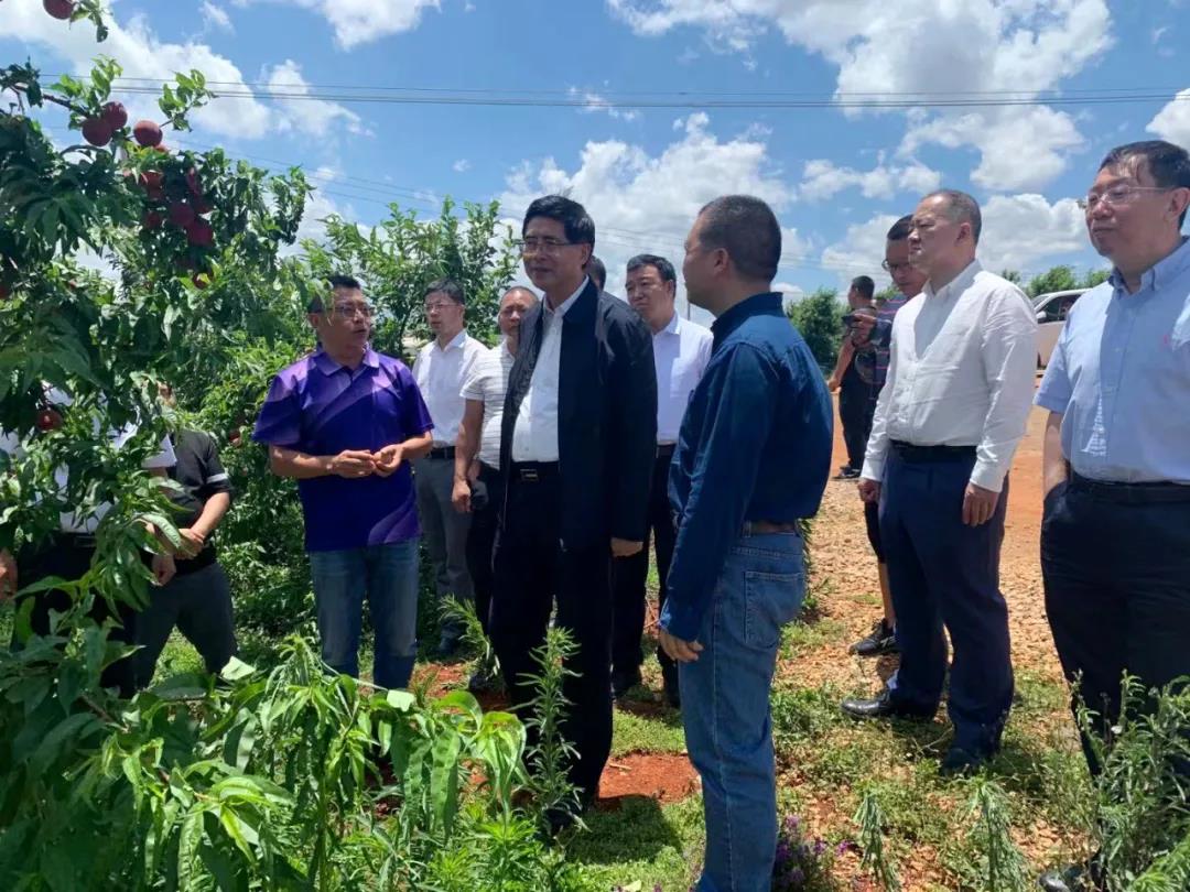 首页- 尊龙集团中国官方网站