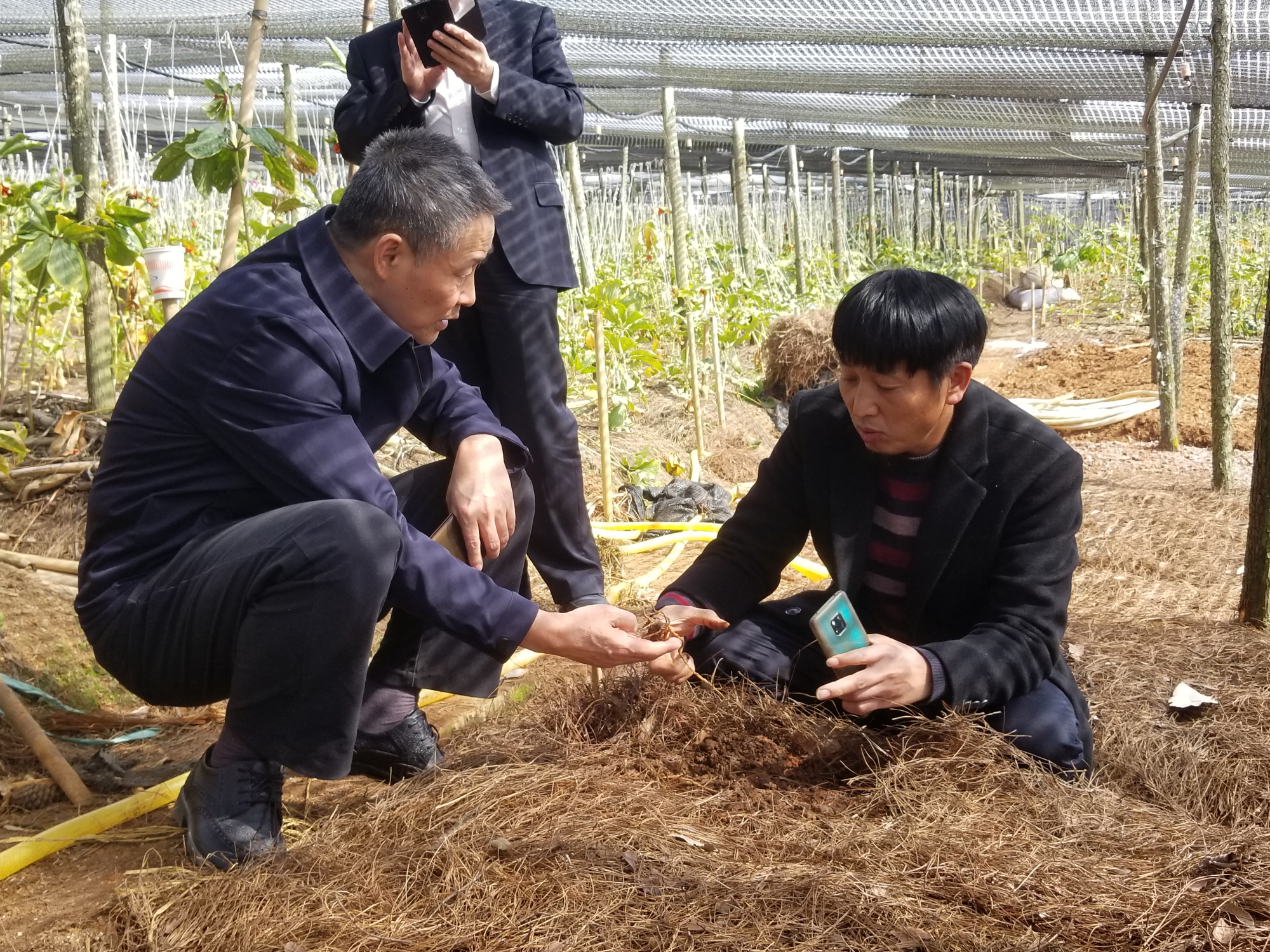 首页- 尊龙集团中国官方网站